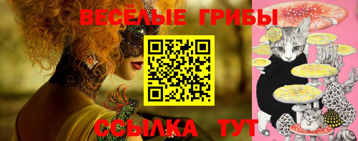 Псилоцибиновые грибы GOLDEN TEACHER  Вход с VPN  Керчь 